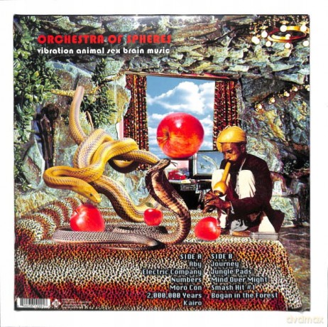 Orchestra of Spheres: Vibration Animal Sex Brain Music [Winyl]
