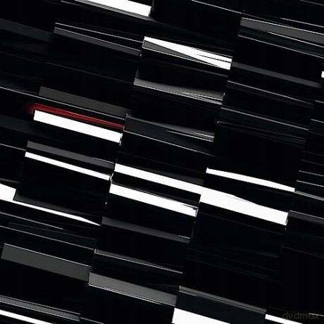 Sdem: Vortices [Winyl]