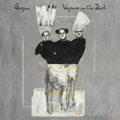 Barzin: Voyeurs In The Dark [Winyl]