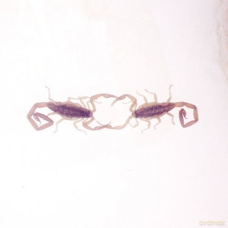 Cross Record: Wabi Sabi [Winyl]