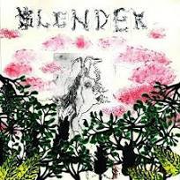 Slender: Walled Garden [Winyl]