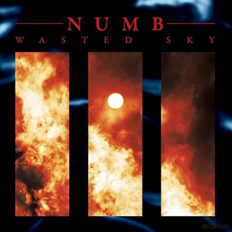 Numb: Wasted Sky [Winyl]