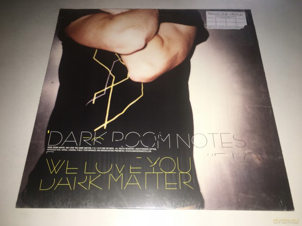 Dark Room Notes: We Love You Dark Matter [Winyl]