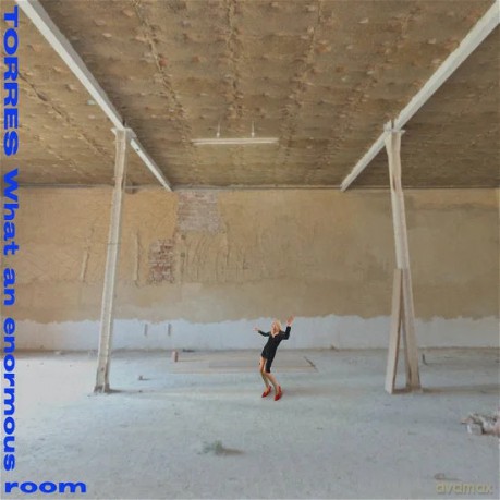 Torres: What An Enormous Room [Winyl]