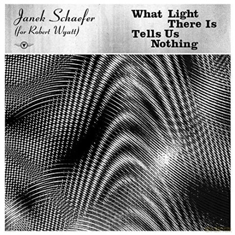 Janek Schaefer: What Light There Is Tells Us Nothing [Winyl]