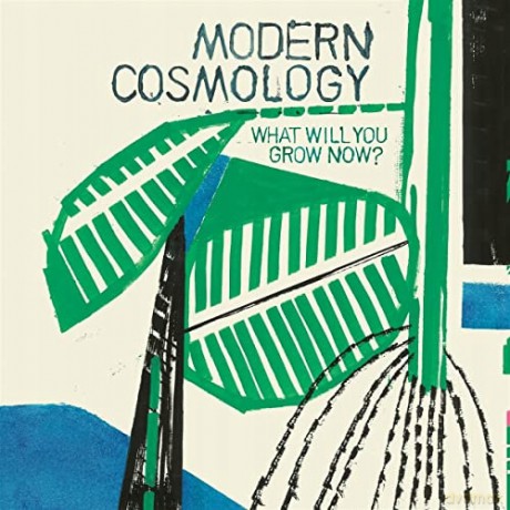 Modern Cosmology: What Will You Grow Now [Winyl]