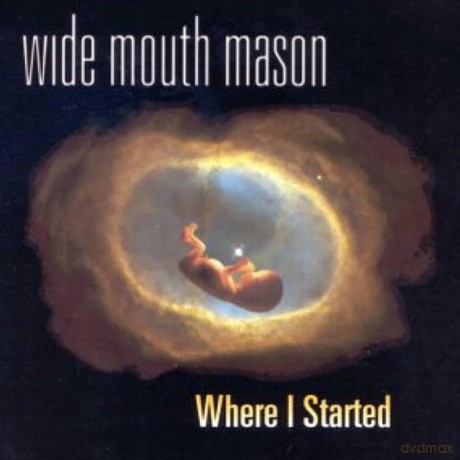 Wide Mouth Maso: Where I St [Winyl]