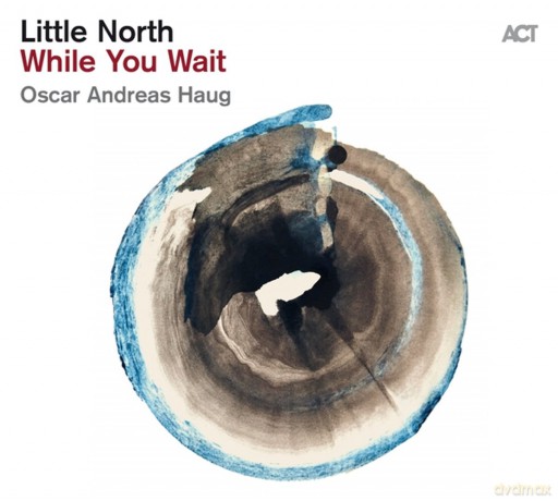 Little North: While You Wait [Winyl]