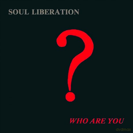 Soul Liberation: Who Are You [2xWinyl]