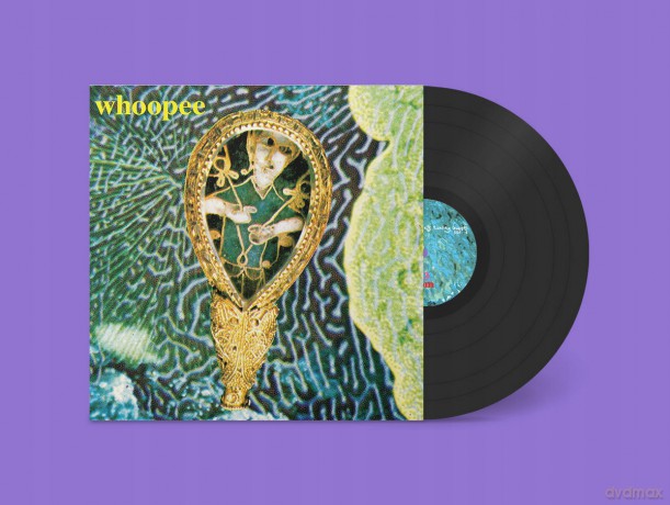 J Mcfarlane S Reality Guest: Whoopee [Winyl]
