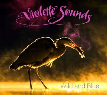 Violette Sounds: Wild And Blue - Pink [Winyl]
