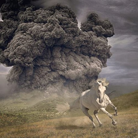 The White Buffalo: Year Of The Dark Horse [Winyl]