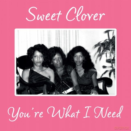Sweet Clover: You Re What I Need [Winyl]