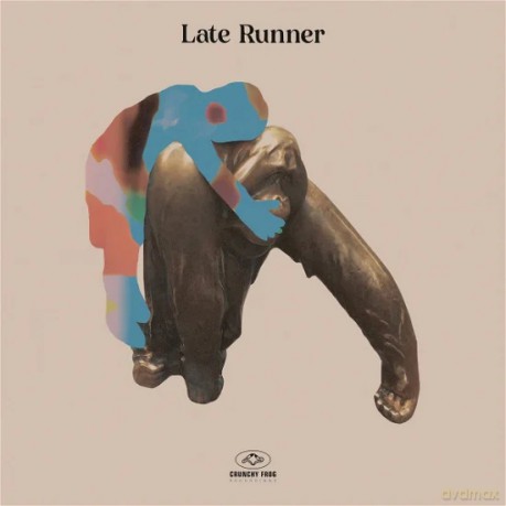 Late Runner: You'Re An [Winyl]