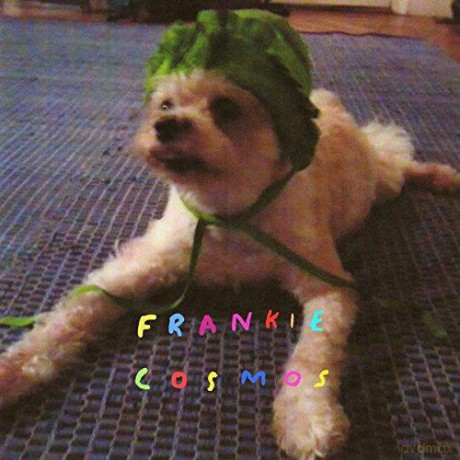 Frankie Cosmos: Zentropy [Winyl]