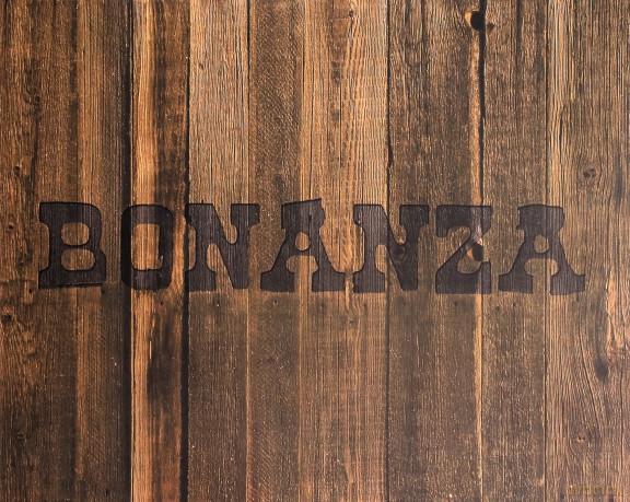 Bonanza Season 1-9 [BOX] [54DVD]