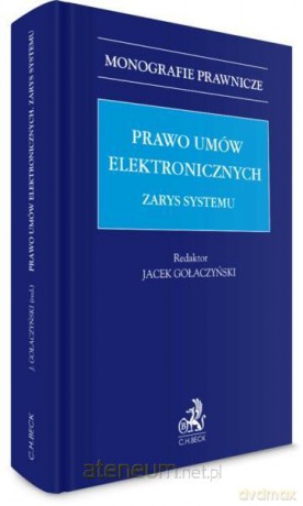 Prawo umów elektronicznych. Zarys systemu [KSIĄŻKA]