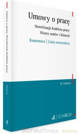 Umowy o pracę. Nowelizacja Kodeksu pracy - Monika Gładoch [KSIĄŻKA]