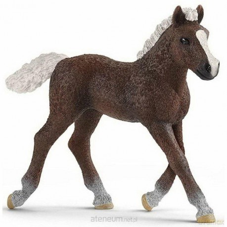 Źrebię szwardzwaldzkie [FIGURKA]