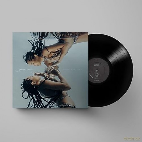 Jamila Woods: Water Made Us [Winyl]