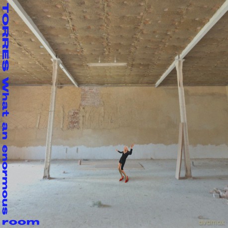 Torres: What An Enormous Room [Winyl]
