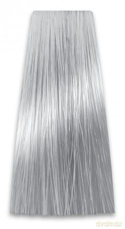 CHANT.PROF 100 g farba COLORART nr 10/11