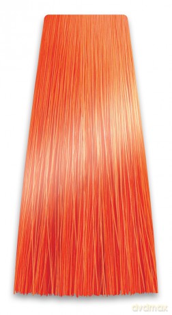 CHANT.PROF 100 g farba COLORART nr 10/44