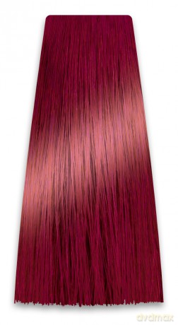 CHANT.PROF 100 g farba COLORART nr 5/66