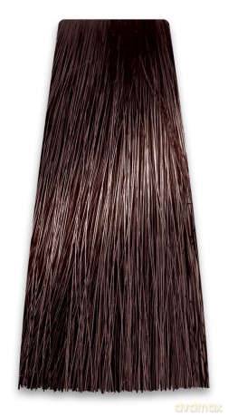 CHANT.PROF 100 g farba COLORART nr 5/G4