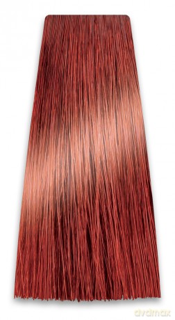 CHANT.PROF 100 g farba COLORART nr 6/44