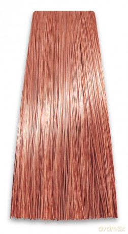 CHANT.PROF 100 g farba COLORART nr 8/46
