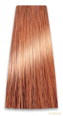 CHANT.PROF 100 g farba COLORART nr 9/04