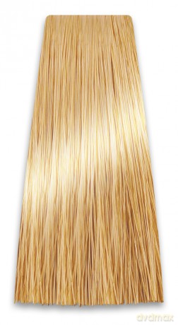 CHANT.PROF 100 g farba COLORART nr 9/33