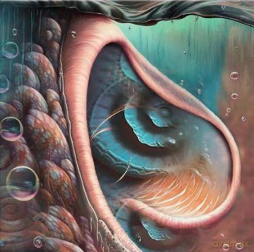 Meddle Reimagined - A Tribute To Pink Floyd [Winyl]