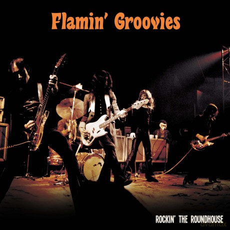 Flamin' Groovies: Rockin' The Roundhouse [2xWinyl]