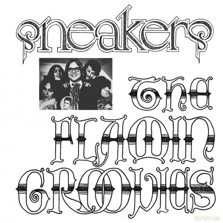 The Flamin' Groovies: Sneakers [Winyl]