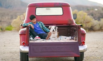 Aristotle and Dante Discover the Secrets of the Universe [Blu-Ray]