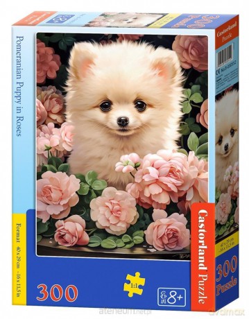 CASTORLAND 300 el. Pomeranian Puppy in Roses [PUZZLE]
