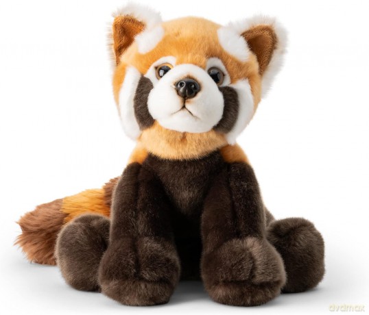 Czerwona Panda