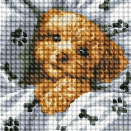 Diamentowa mozaika - Uroczy Maltipoo 40x40 cm
