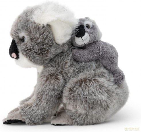Koala z dzieckiem