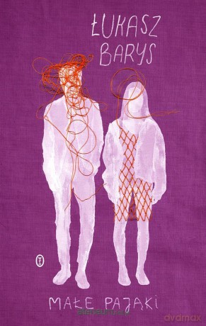 Małe pająki - Łukasz Barys [KSIĄŻKA]