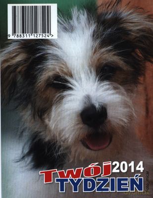 Kalendarz 2014 Twój Dzień B7 [KSIĄŻKA]