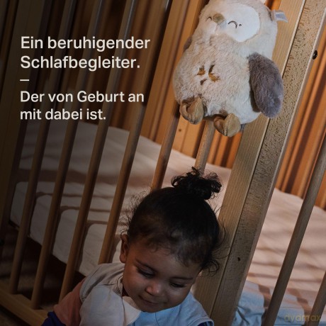 Szumiś Sowa Ollie Deluxe