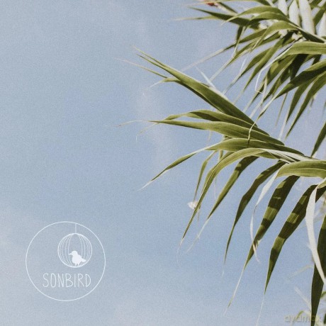 Sonbird: EP [CD]