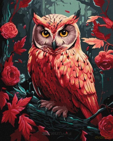 Malowanie po numerach - Kolorowa sowa...40x50 cm