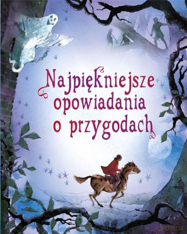 Najpiękniejsze opowiadania o przygodach [KSIĄŻKA]