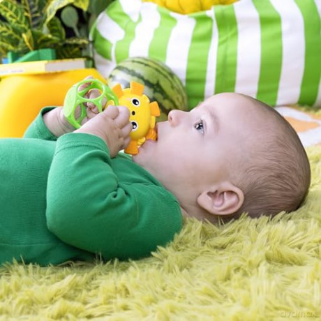 OBALL - Character Oball Teether 2pk - (BS-16762)