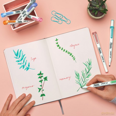 Sharpie - S-Note Duo 8-Blister (2182116)