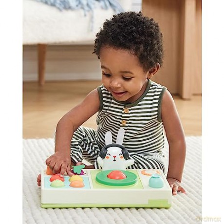 Skip Hop - Farm stand Activity toy DJ Set